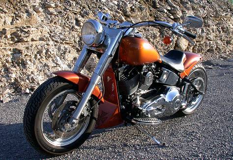 Harley Davidson FLSTF Vulcanus