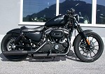 Harley Davidson Iron XL883N 