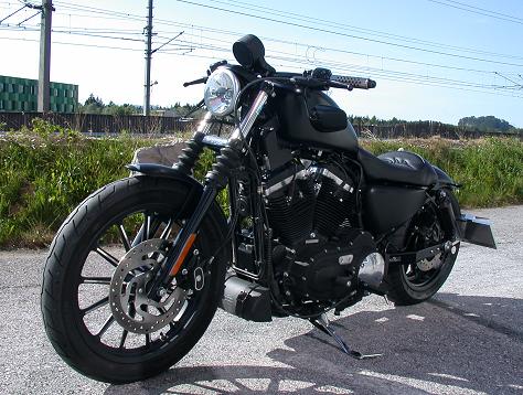 Harley Davidson Iron XL883N 