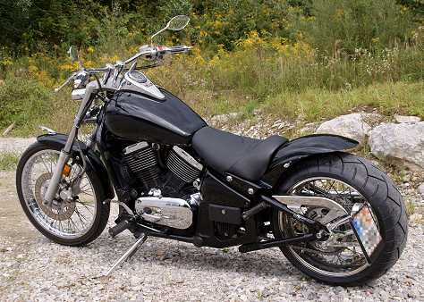 Kawasaki VN 800 Black Panther